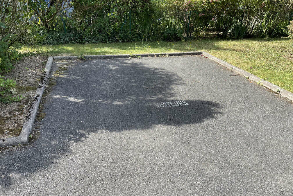 Entretien d&rsquo;espaces verts à Belfort : conseils pour une maintenance saisonnière durable